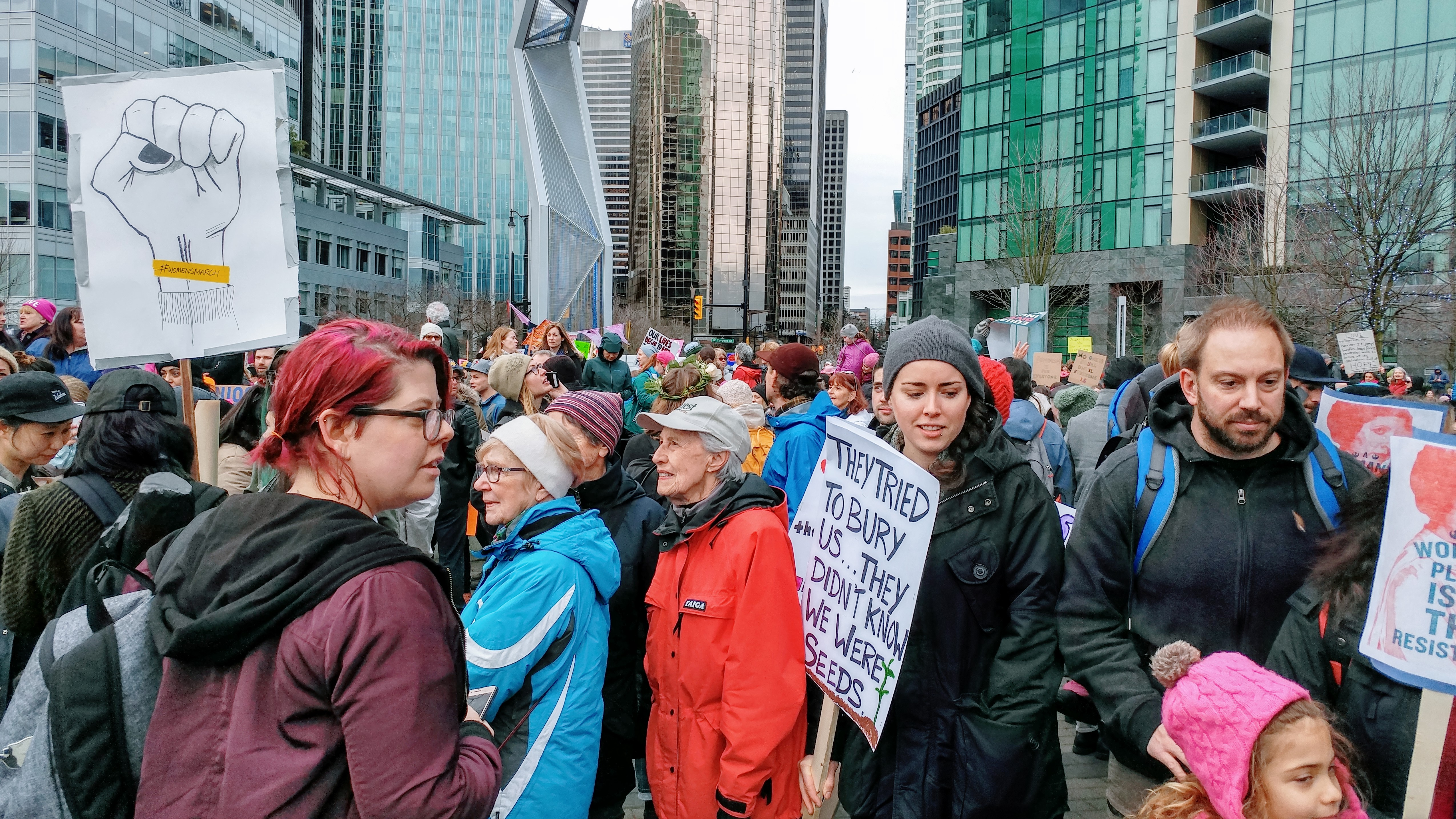 Pussyhats And Photos From The Womens March Kim Werker